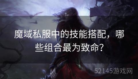 魔域私服中的技能搭配,哪些组合最为致命? 魔域私服中的技能搭配,哪些组合最为致命?
