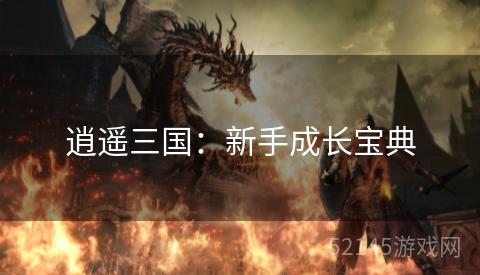 逍遥三国:新手成长宝典 逍遥三国:新手成长宝典