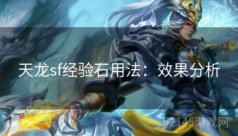 天龙sf经验石用法：效果分析