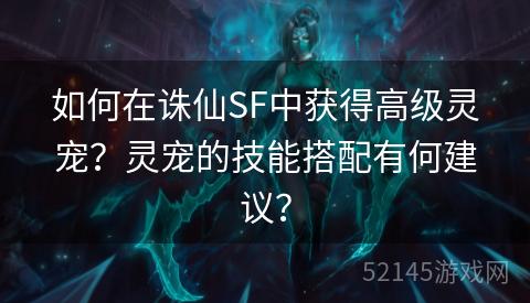 如何在诛仙SF中获得高级灵宠？灵宠的技能搭配有何建议？