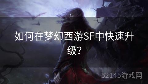 如何在梦幻西游SF中快速升级? 如何在梦幻西游SF中快速升级?