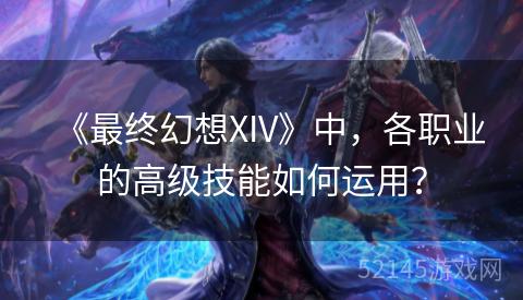 《最终幻想XIV》中,各职业的高级技能如何运用? 《最终幻想XIV》中,各职业的高级技能如何运用?
