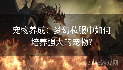 宠物养成:梦幻私服中如何培养强大的宠物? 宠物养成:梦幻私服中如何培养强大的宠物?