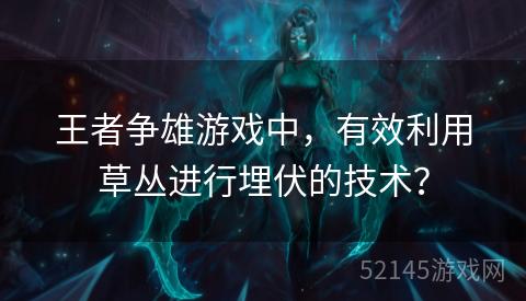 王者争雄游戏中,有效利用草丛进行埋伏的技术? 王者争雄游戏中,有效利用草丛进行埋伏的技术?