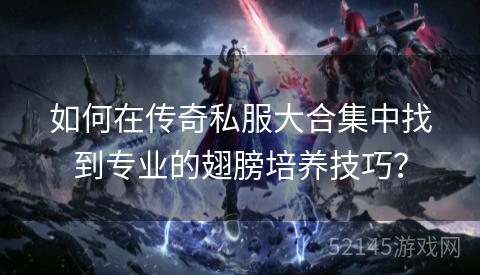 如何在传奇私服大合集中找到专业的翅膀培养技巧? 如何在传奇私服大合集中找到专业的翅膀培养技巧?