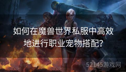 如何在魔兽世界私服中高效地进行职业宠物搭配? 如何在魔兽世界私服中高效地进行职业宠物搭配?