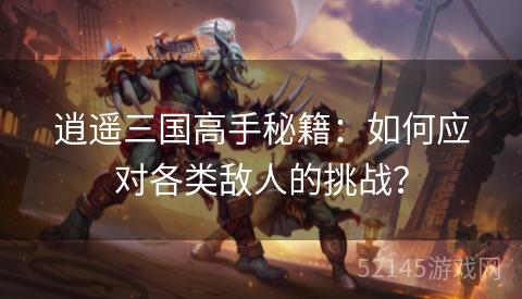 逍遥三国高手秘籍：如何应对各类敌人的挑战？