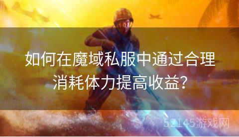 如何在魔域私服中通过合理消耗体力提高收益? 如何在魔域私服中通过合理消耗体力提高收益?