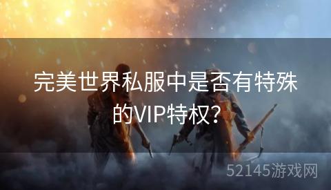 完美世界私服中是否有特殊的VIP特权？