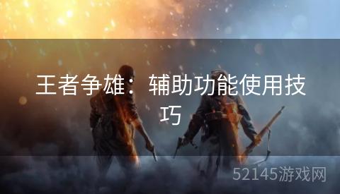 王者争雄:辅助功能使用技巧 王者争雄:辅助功能使用技巧