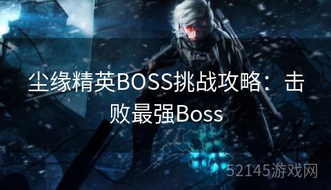 尘缘精英BOSS挑战攻略：击败最强Boss