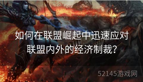 如何在联盟崛起中迅速应对联盟内外的经济制裁？