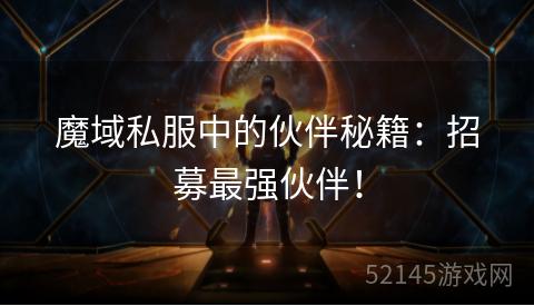魔域私服中的伙伴秘籍：招募最强伙伴！