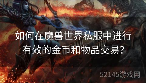 如何在魔兽世界私服中进行有效的金币和物品交易？