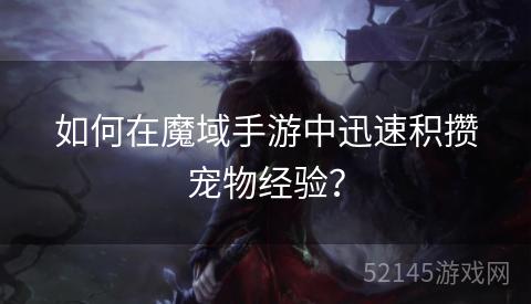 如何在魔域手游中迅速积攒宠物经验? 如何在魔域手游中迅速积攒宠物经验?