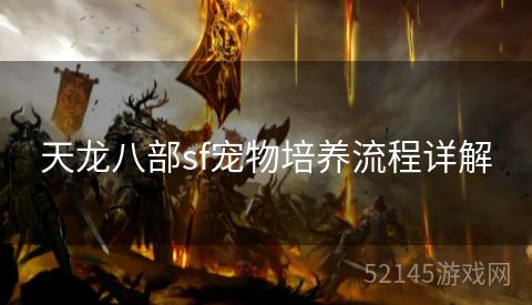 天龙八部sf宠物培养流程详解 天龙八部sf宠物培养流程详解