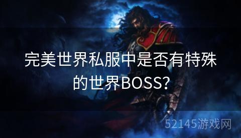 完美世界私服中是否有特殊的世界BOSS？