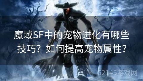 魔域SF中的宠物进化有哪些技巧？如何提高宠物属性？
