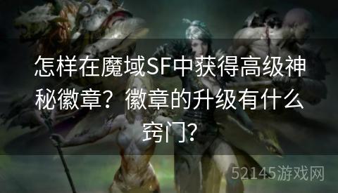 怎样在魔域SF中获得高级神秘徽章?徽章的升级有什么窍门? 怎样在魔域SF中获得高级神秘徽章?徽章的升级有什么窍门?