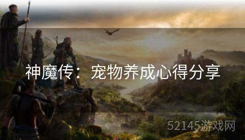 神魔传：宠物养成心得分享