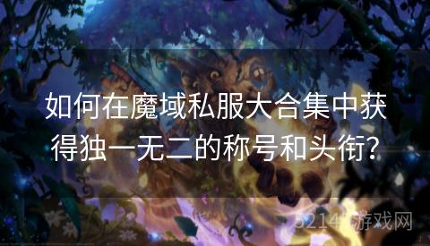 如何在魔域私服大合集中获得独一无二的称号和头衔? 如何在魔域私服大合集中获得独一无二的称号和头衔?