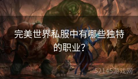 完美世界私服中有哪些独特的职业？
