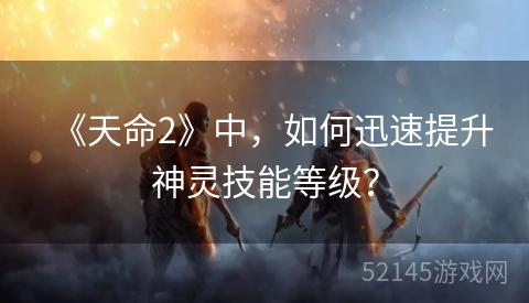 《天命2》中，如何迅速提升神灵技能等级？
