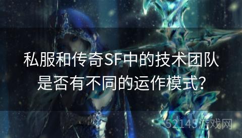 私服和传奇SF中的技术团队是否有不同的运作模式? 私服和传奇SF中的技术团队是否有不同的运作模式?