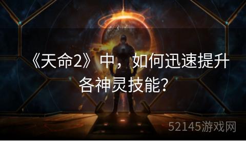 《天命2》中，如何迅速提升各神灵技能？