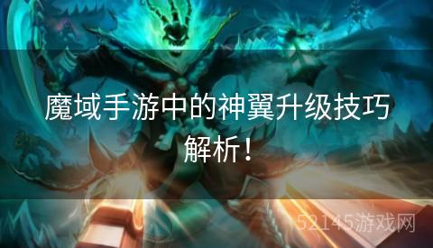 魔域手游中的神翼升级技巧解析! 魔域手游中的神翼升级技巧解析!
