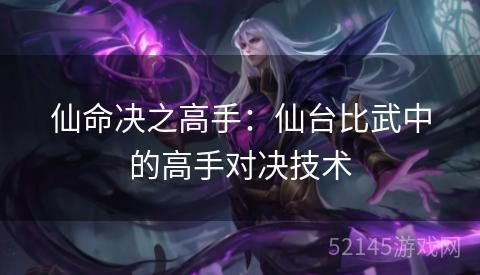 仙命决之高手:仙台比武中的高手对决技术 仙命决之高手:仙台比武中的高手对决技术