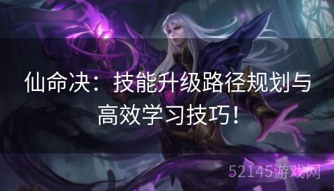 仙命决：技能升级路径规划与高效学习技巧！