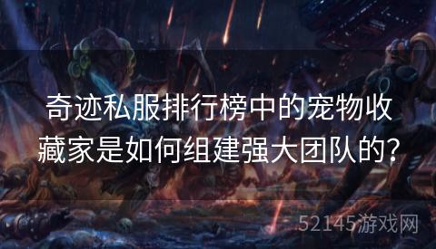 奇迹私服排行榜中的宠物收藏家是如何组建强大团队的? 奇迹私服排行榜中的宠物收藏家是如何组建强大团队的?