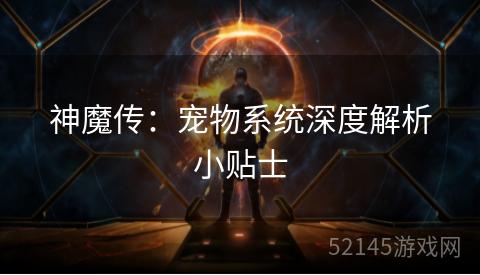 神魔传：宠物系统深度解析小贴士