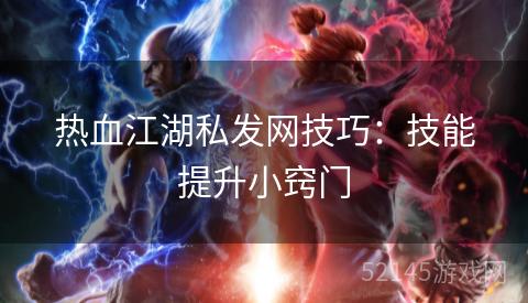 热血江湖私发网技巧：技能提升小窍门