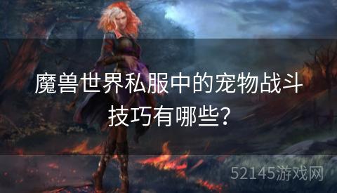魔兽世界私服中的宠物战斗技巧有哪些? 魔兽世界私服中的宠物战斗技巧有哪些?