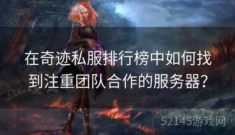 在奇迹私服排行榜中如何找到注重团队合作的服务器？