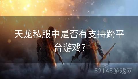 天龙私服中是否有支持跨平台游戏? 天龙私服中是否有支持跨平台游戏?