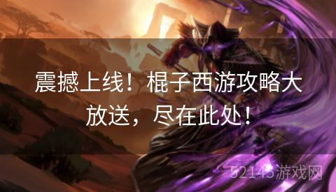 震撼上线！棍子西游攻略大放送，尽在此处！