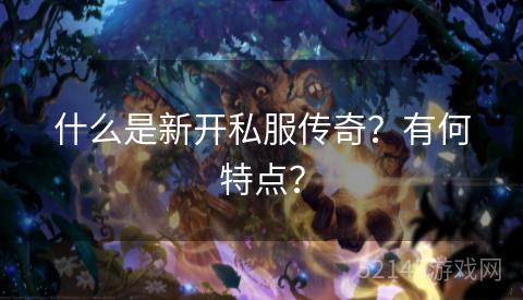 什么是新开私服传奇?有何特点? 什么是新开私服传奇?有何特点?