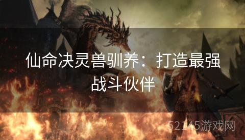 仙命决灵兽驯养：打造最强战斗伙伴