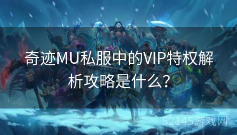 奇迹MU私服中的VIP特权解析攻略是什么？
