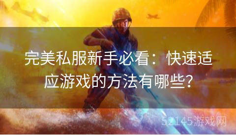 完美私服新手必看：快速适应游戏的方法有哪些？