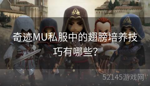 奇迹MU私服中的翅膀培养技巧有哪些? 奇迹MU私服中的翅膀培养技巧有哪些?