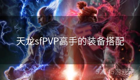 天龙sfPVP高手的装备搭配 天龙sfPVP高手的装备搭配