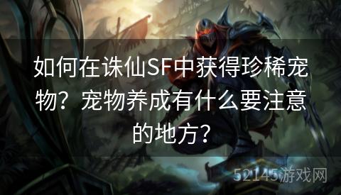 如何在诛仙SF中获得珍稀宠物？宠物养成有什么要注意的地方？