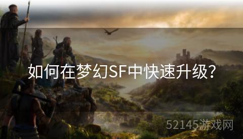如何在梦幻SF中快速升级? 如何在梦幻SF中快速升级?