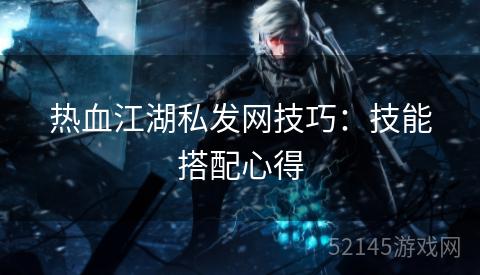 热血江湖私发网技巧:技能搭配心得 热血江湖私发网技巧:技能搭配心得